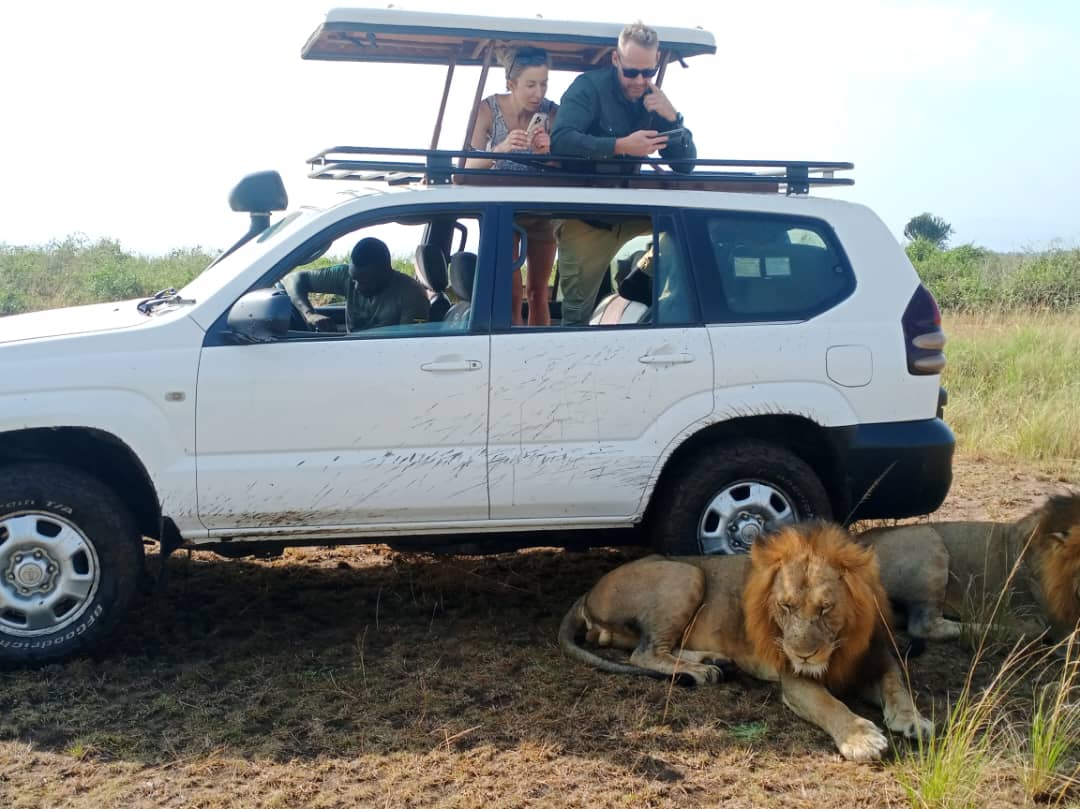 Car Hire With a Driver Uganda